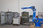 IMG_9639crok_1000.jpg