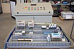 IMG_9652cr_1000.jpg