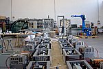 IMG_9661cr_1000.jpg