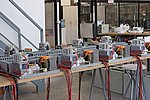 IMG_9666cr_1000.jpg